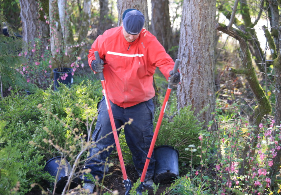 Home County Habitat For Humanity