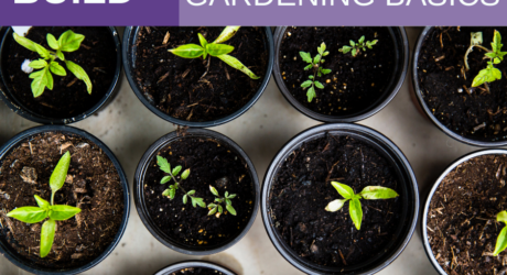 Women Build: Gardening Basics 2