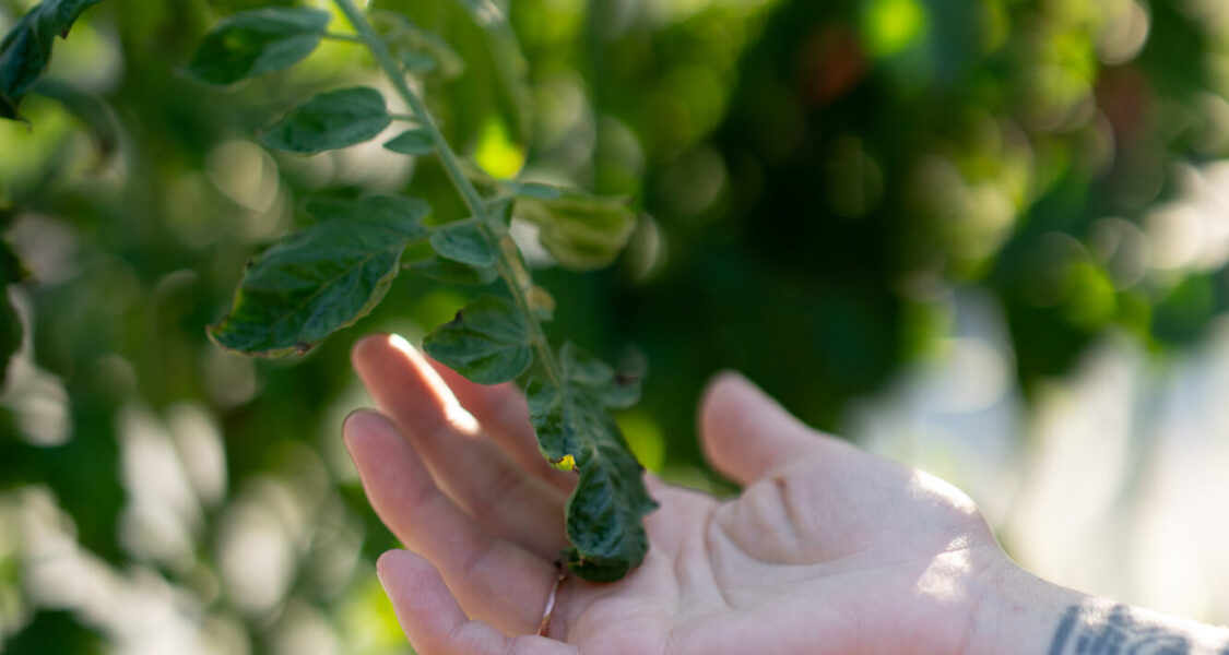 Cena_and_Chris_lowres-1