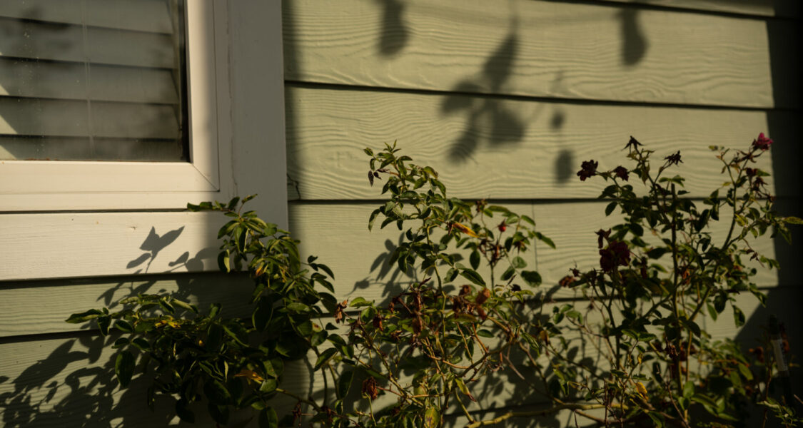 Shane_Aber_09.28.2025-2