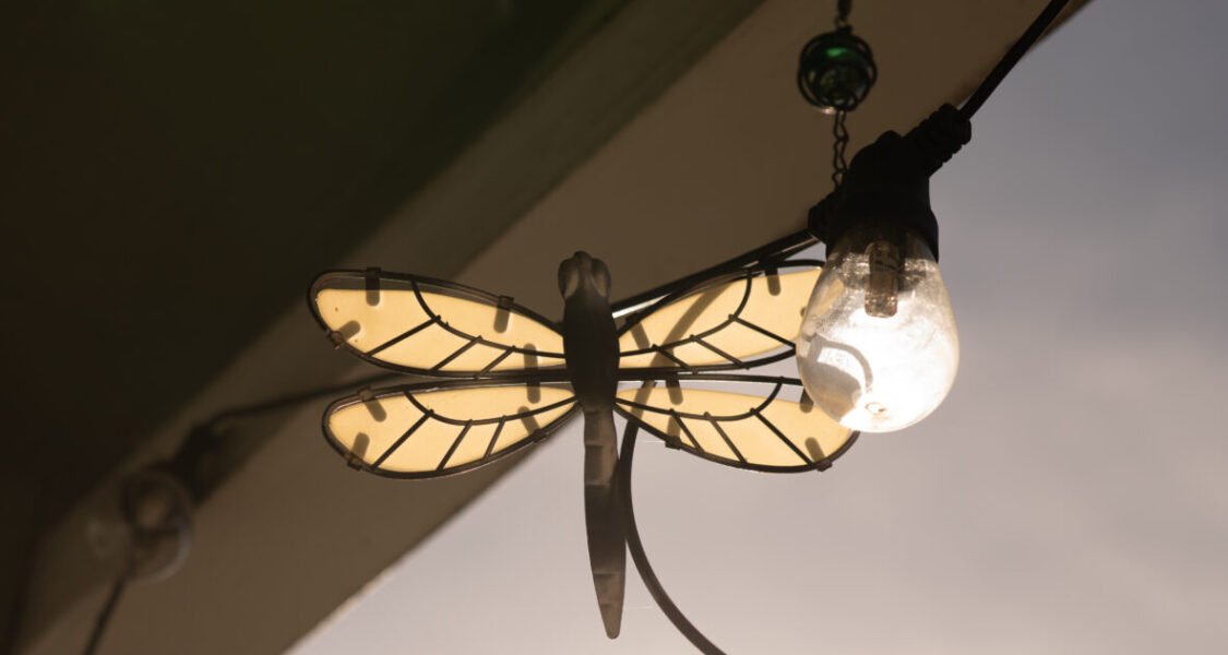 Shane_Aber_09.28.2025-3